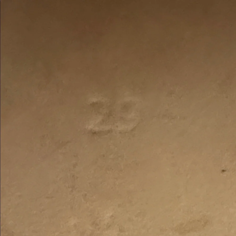 Golden Goose Kids Superstar touch strap sneakers size EU 29 size US 12 - Picture 13 of 14